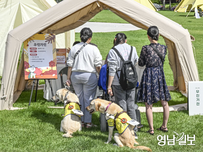 [포토뉴스] 안내견과 함께 걷는 취업의 길