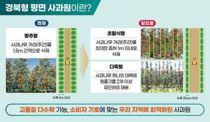 이철우 도지사 경북 사과 생산성 끌어올려 세계와 경쟁하자