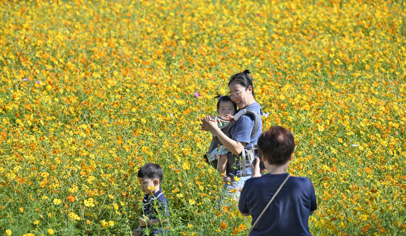 대구경북, 낮 기온 28℃까지 올라…일교차 15℃