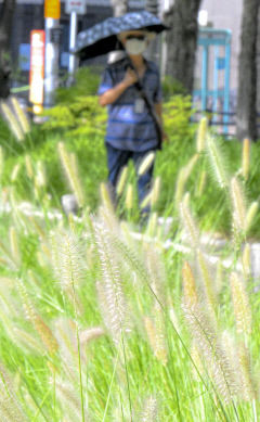 [내일 날씨] 1일 대구경북, 일교차 크고 오후부터 적은 비…낮 최고 23~28℃