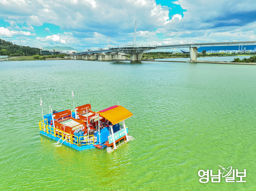 낙동강 강정고령 지점, 2일 조류경보 해제…8월8일 관심 단계 이후 8주 만