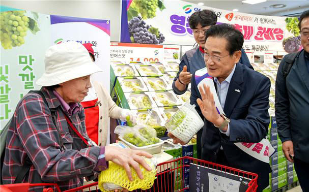 영천포도, 전국 롯데마트서 특판