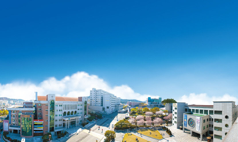 대구 전문대 수시1차 원서접수 결과는?…보건계열·유망학과 강세
