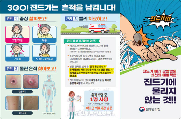 진드기 물림, 감기로 착각하지 마세요! 가을철 감염 주의보