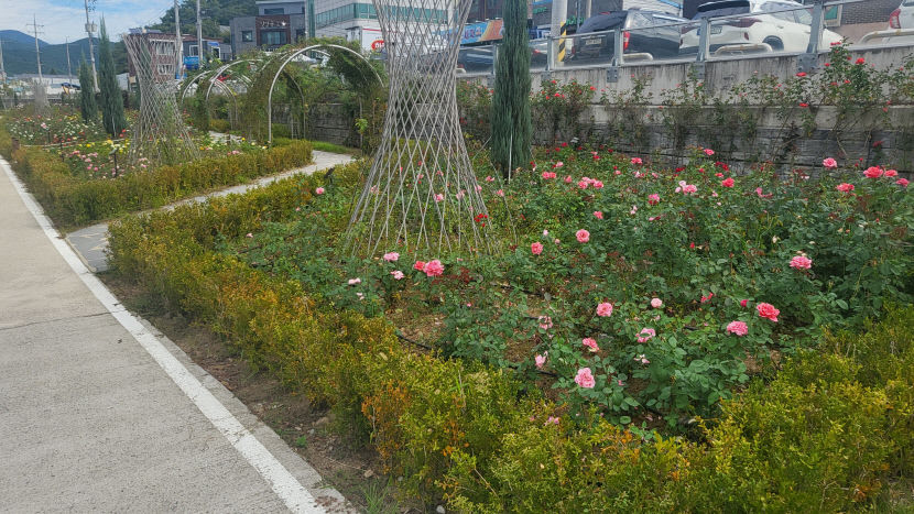 dongwhachun jangmi