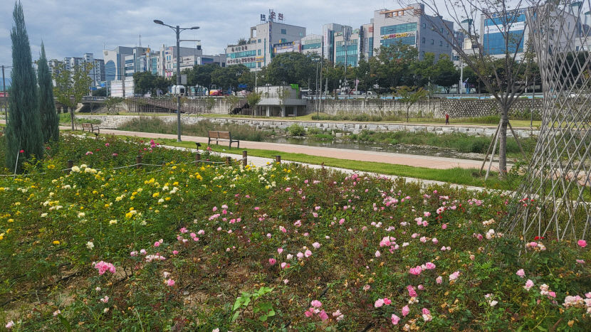 dongwhachun jangmi
