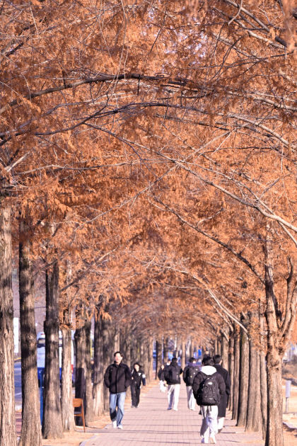 [내일 날씨] 8일 대구·경북, 일교차 커 쌀쌀하고 부슬비…낮 최고 20~25℃