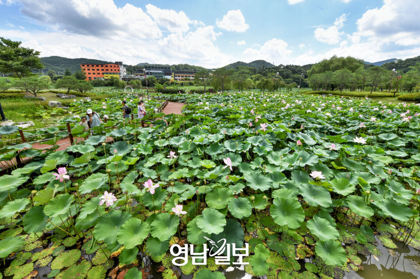 [별천지 영양의 숲과 마을 .9] 자박자박 읍내 한 바퀴
