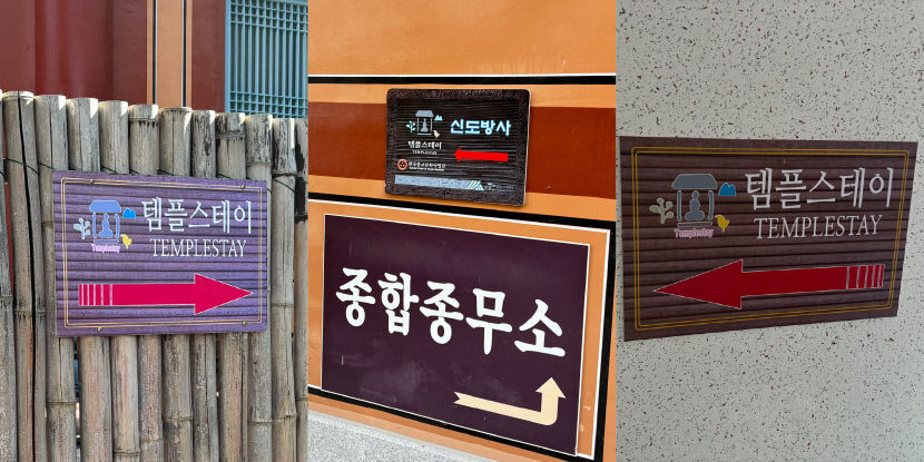 스마트폰·AI에 둘러쌓인 일상 뒤로 한 채…조용한 산사에서의 하루 템플스테이