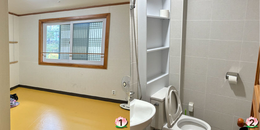 스마트폰·AI에 둘러쌓인 일상 뒤로 한 채…조용한 산사에서의 하루 템플스테이