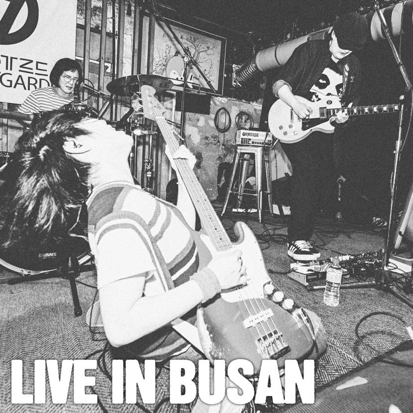 드링킹소년소녀합창단의 첫 라이브 앨범 'Live in Busan' 앨범커버. <드링킹소년소녀합창단 제공>