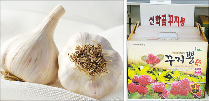 [제17회 아줌마 대축제] 의성군, 마늘의 고장 고품질 청정농산물