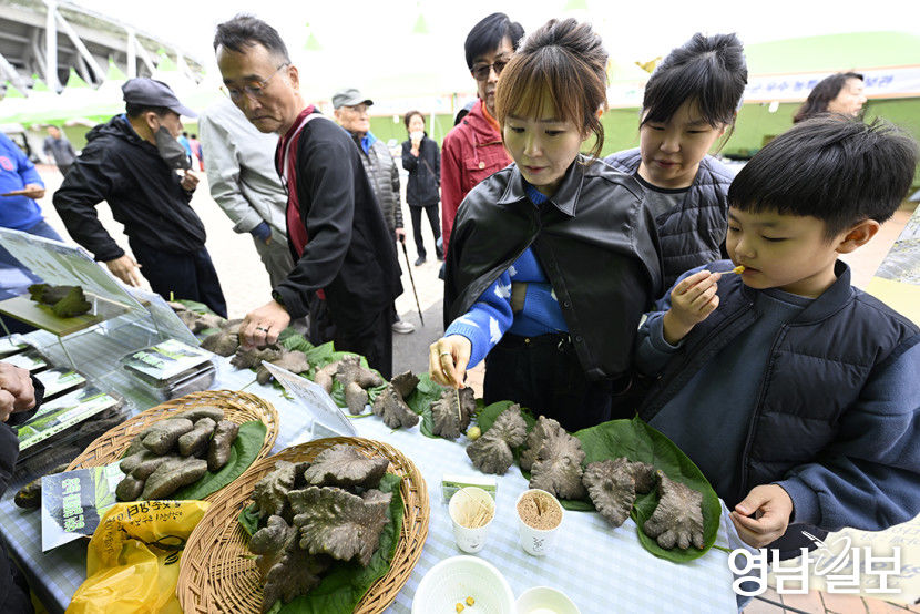 [포토뉴스] 온 가족 함께 즐기는 아줌마 大축제