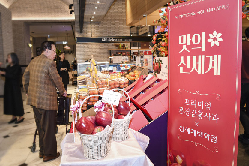 프리미엄 문경 감홍사과 맛의 신세계 선보여