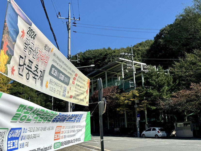 10월 말인데 아직 푸른 팔공산…단풍 보다 상인들 눈시울이 먼저 붉어졌다