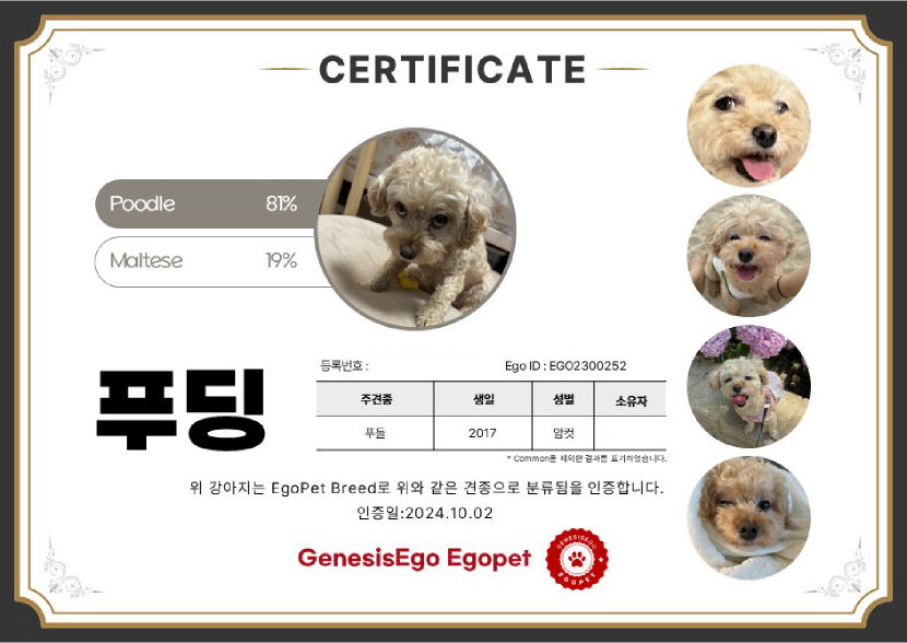 우리 강아지 엄마아빠는 누구일까?…반려견 유전자 검사 해봤습니다