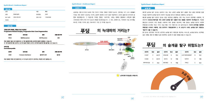우리 강아지 엄마아빠는 누구일까?…반려견 유전자 검사 해봤습니다