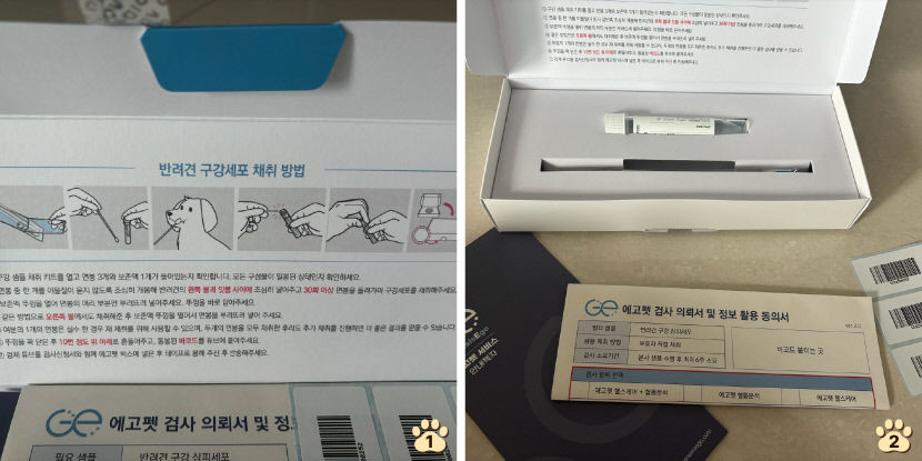 우리 강아지 엄마아빠는 누구일까?…반려견 유전자 검사 해봤습니다