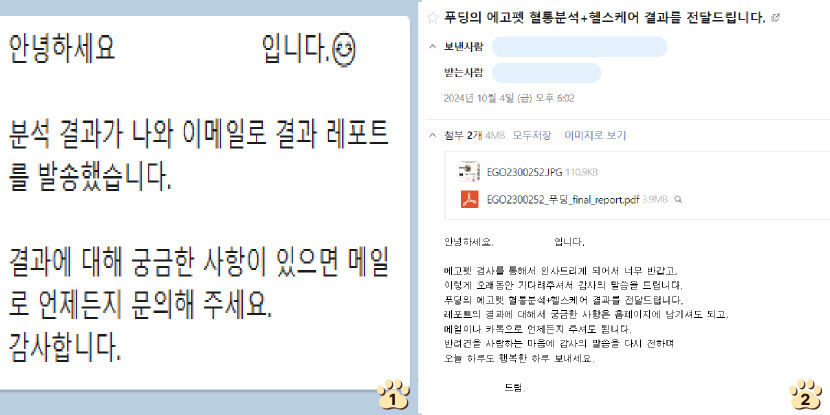 우리 강아지 엄마아빠는 누구일까?…반려견 유전자 검사 해봤습니다