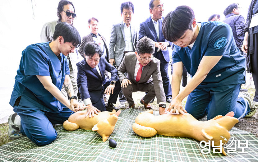 [포토뉴스] 펫 동행 페스티벌에서 배우는 반려견 응급처치
