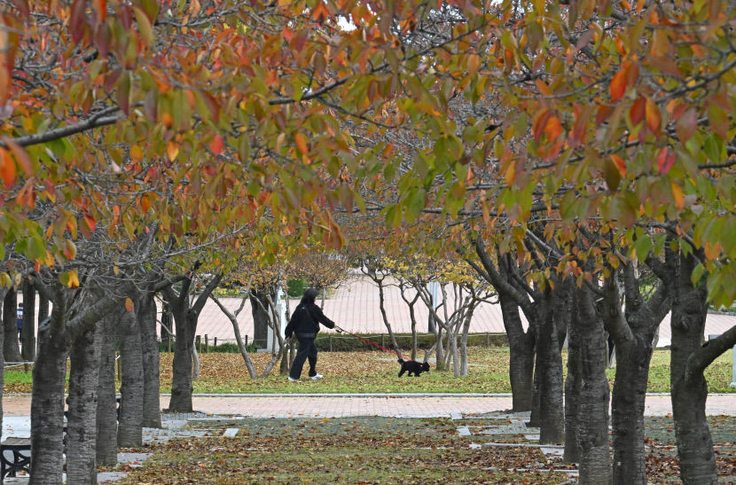 대구경북 구름 많다 차차 맑아져…일교차 10℃ 이상