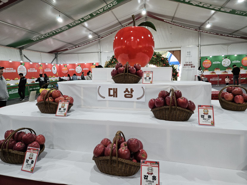 문경사과축제, 9일간 역대 최대 41만명 방문해 22억 매출