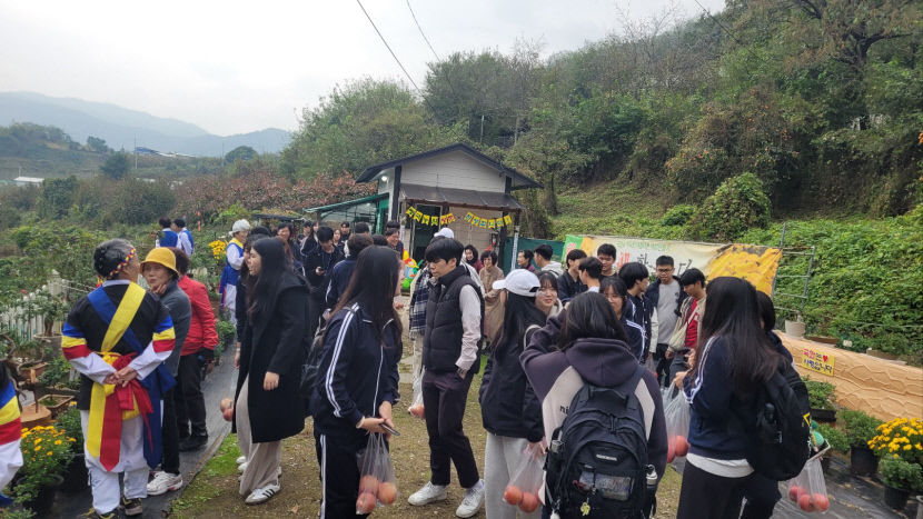 문경 명국농원을 방문한 말레이시아 학생들이 국화를 구경하고 있다. <명국농원 제공>