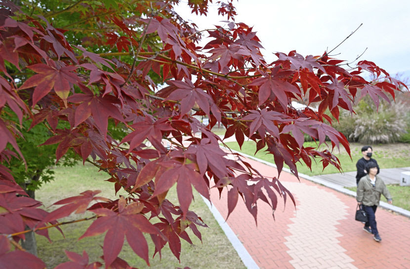대구경북 가끔 구름 많은 날씨…낮 최고기온 20~23℃