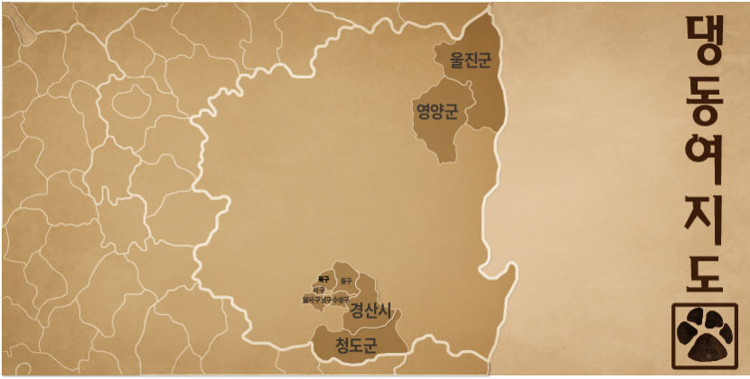 펫 푸드 도시락과 함께 댕댕이랑 피크닉 가자