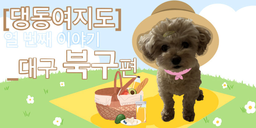 펫 푸드 도시락과 함께 댕댕이랑 피크닉 가자
