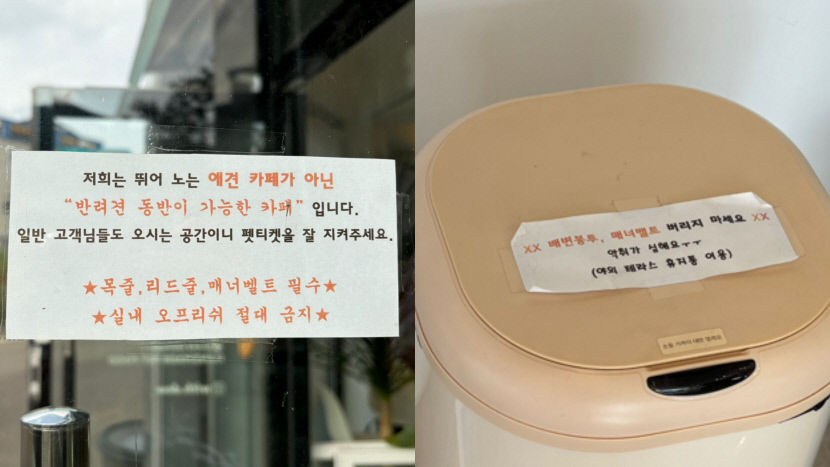 펫 푸드 도시락과 함께 댕댕이랑 피크닉 가자