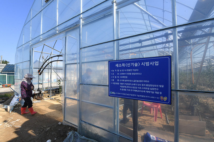 [쾌적하고 살기좋은 산소카페 청송 .13] 고부가 가치 창출을 위한 사과 스마트팜 사업