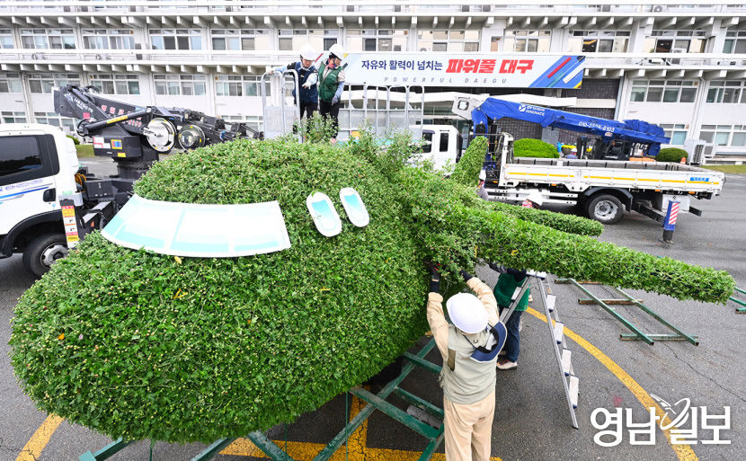 대구경북신공항 건설을 기념한 국화모형작이 대구시 산격청사 광장주차장에 설치되고 있다. <영남일보DB>