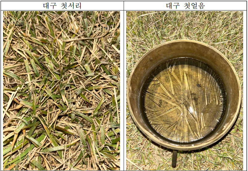 대구·안동에서 올해 첫서리·얼음 관측…작년보다 빨라