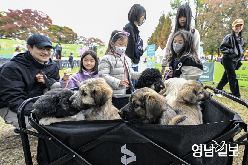 [포토뉴스] 가족과 함께하는 경산 반려문화 축제