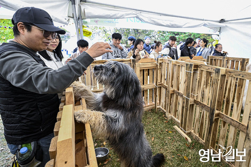 [포토뉴스] 반려동물과 교감