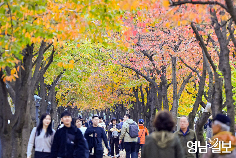[포토뉴스] 도심서 단풍 즐기는 시민들