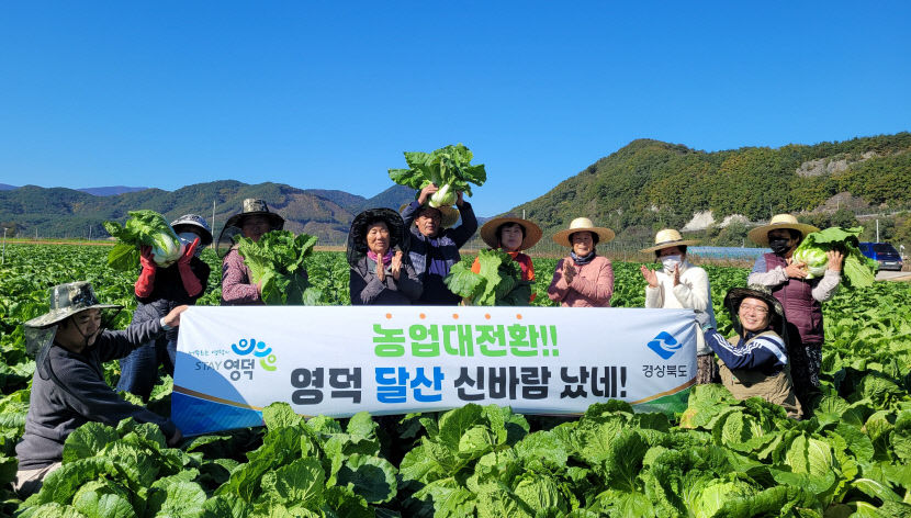 이모작 전환으로 생산액 증가…영덕서 영농 소득배당 2호 모델 탄생