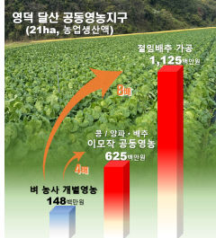 이모작 전환으로 생산액 증가…영덕서 영농 소득배당 2호 모델 탄생