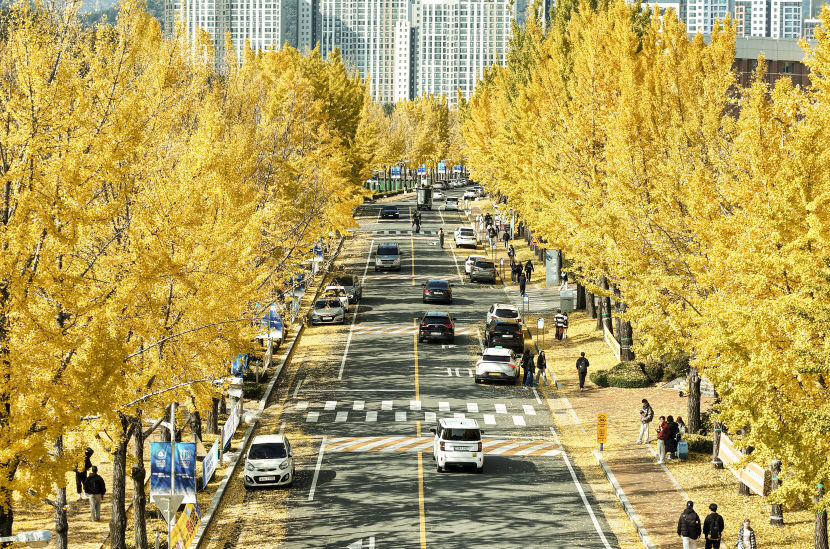 수능 전날 대구경북 구름 많고, 동해안 가끔 비…낮 기온 16~20℃