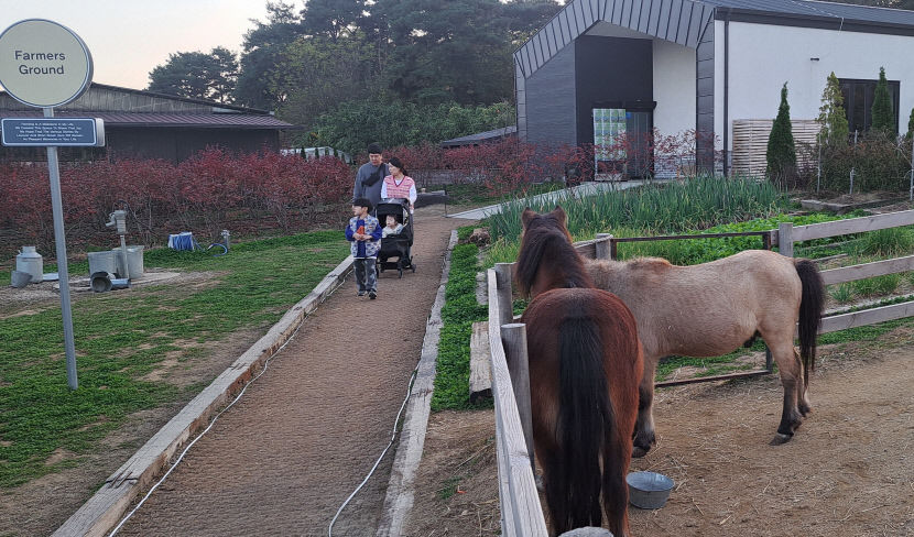 [상주 가볼만한 곳] 어린이들의 꿈나라 스테이지 파머스 룸