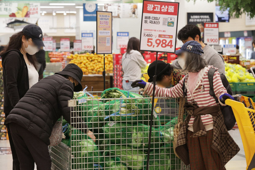 배추가격 안정세 접어드나…한 포기 전달보다 63% 떨어진 3천257원