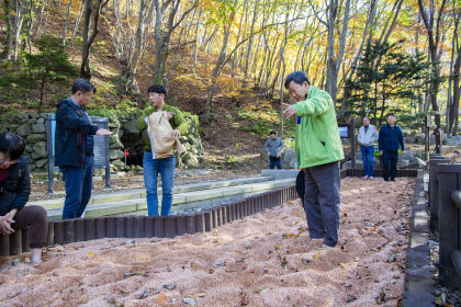 울릉도 나리분지 숲길에 맨발걷기 구간 조성