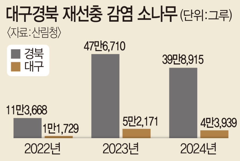 소나무 죽음의 수용소로 변한 대구경북…재선충 확산에 비상