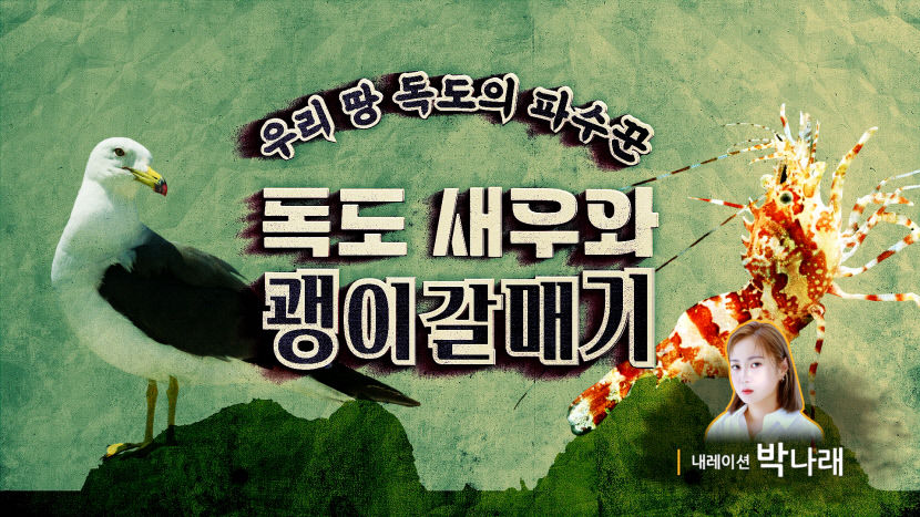 개그우먼 박나래 독도 홍보 나섰다