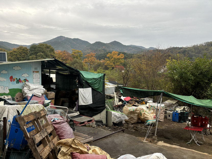 버려진 강아지 돌보는 일, 산책 보다 중요한 일 많았다
