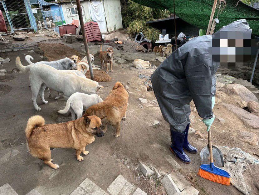 버려진 강아지 돌보는 일, 산책 보다 중요한 일 많았다