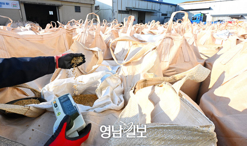 [포토뉴스] 공공비축미곡 품질검사