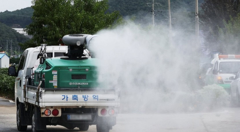 대구 동구 한우농장 럼피스킨 발생…살처분 실시