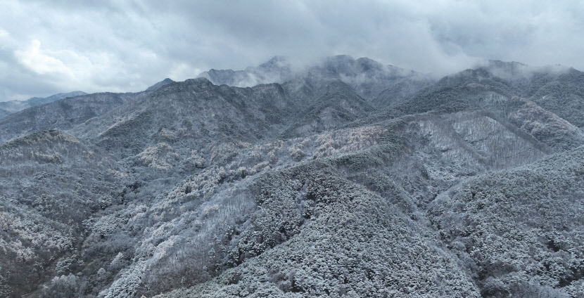 대구경북 북부 중심으로 눈…낮 기온 4~11℃